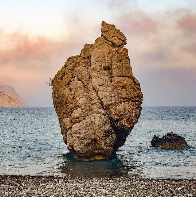 صورة عضو من أعضاء الفريق